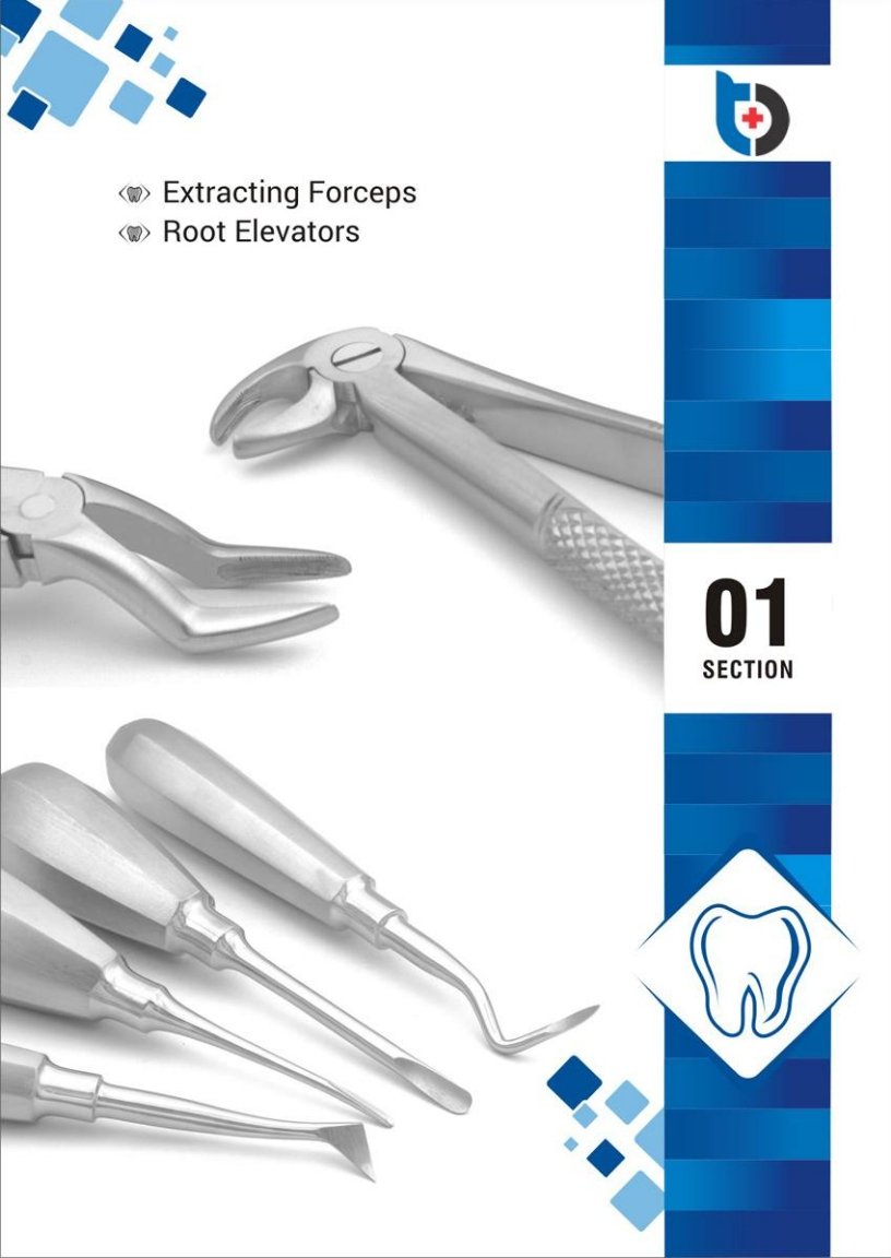 dental_5-1