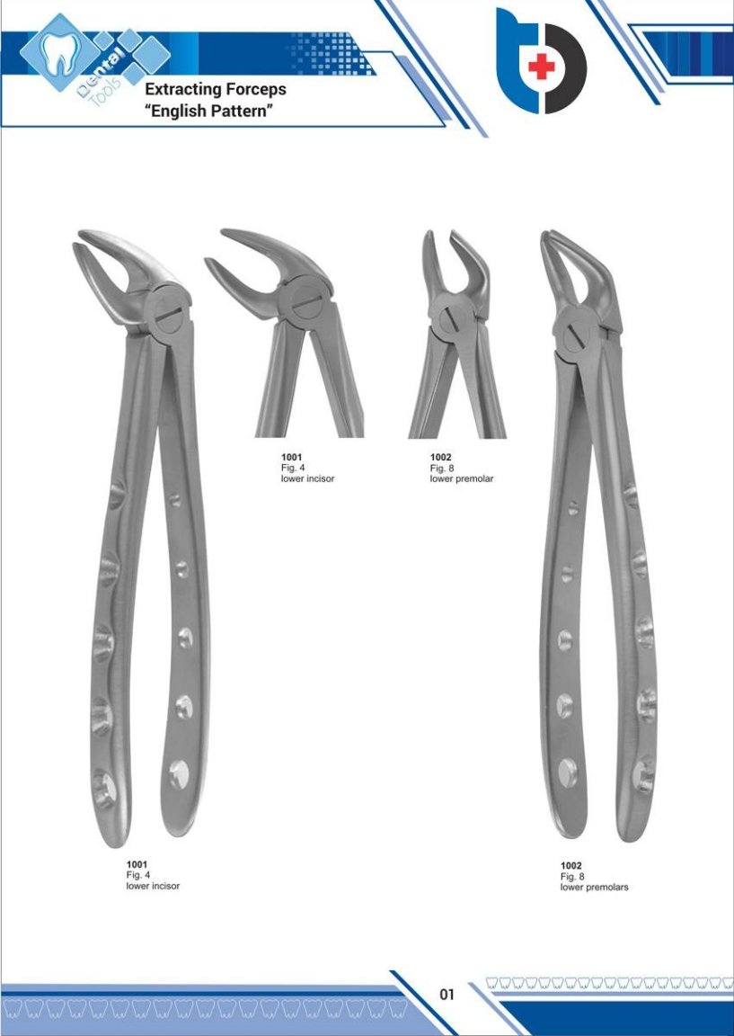 dental_6-1